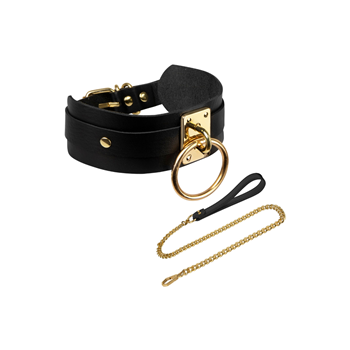 Halsband met ring en ketting